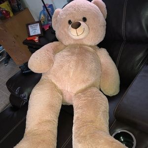 Huge Teddy Bear
